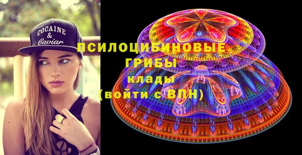 дживик Корсаков