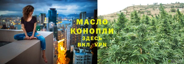 твердый Краснослободск