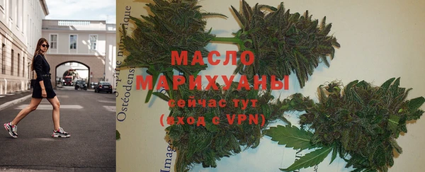 твердый Краснослободск