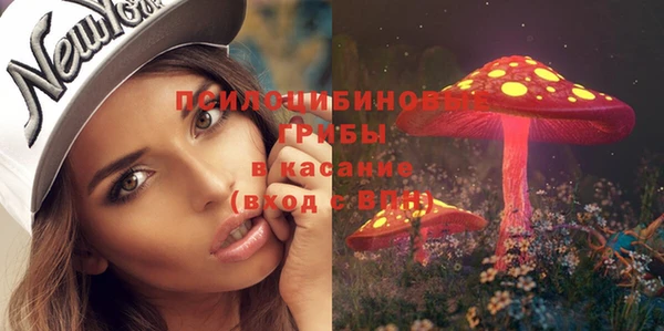 ПСИЛОЦИБИНОВЫЕ ГРИБЫ Коряжма