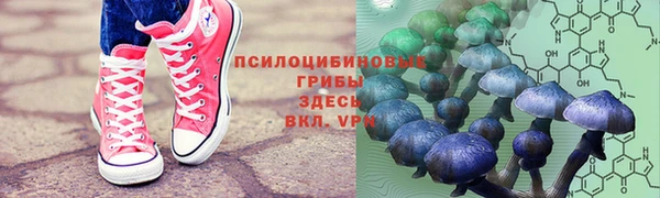 дживик Корсаков