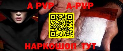 индика Камышлов