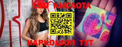 индика Камышлов