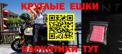 индика Камышлов