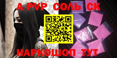 индика Камышлов