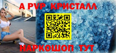 индика Камышлов