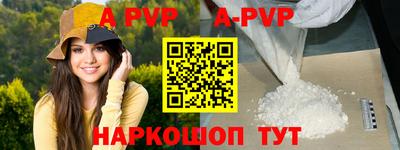 индика Камышлов