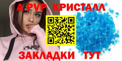 индика Камышлов
