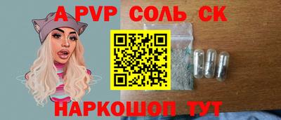 индика Камышлов