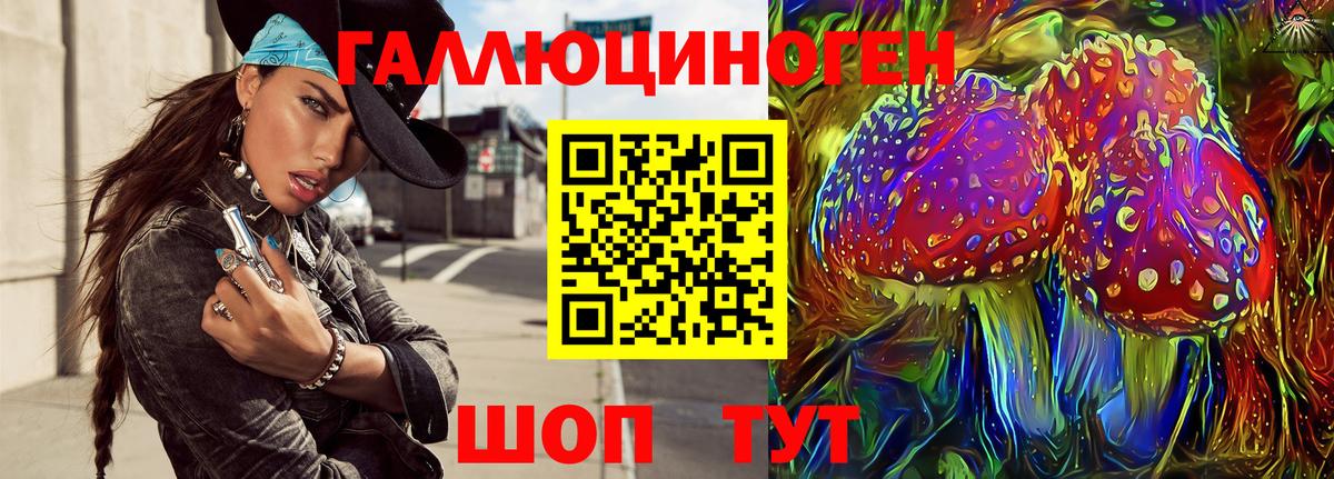 Псилоцибиновые грибы прущие грибы  Галлюциногенные грибы GOLDEN TEACHER  Малгобек 