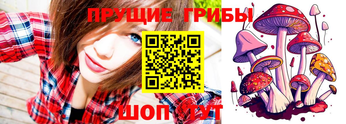 ГАШ Малгобек