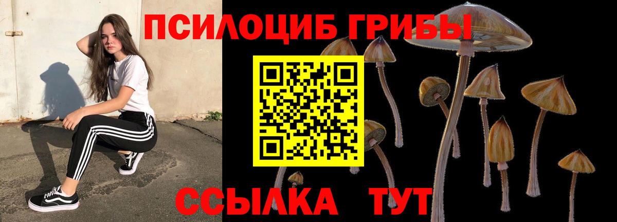закладка  Псилоцибиновые грибы мухоморы  Малгобек  Вход с VPN  Галлюциногенные грибы MAGIC MUSHROOMS 